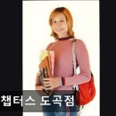 이챕터스도곡학원