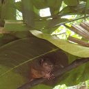 안경나라양산점 | 보홀 육상투어 보홀트래블 추천 코스 총정리 후기