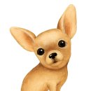 우리종합 동물병원 이미지