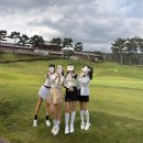 덕원각 | 한옥 클럽하우스가 인상적인 가을라운딩 - 서경 타니cc(+ 현지인맛집 추천)