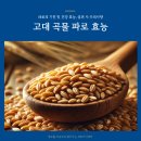 고대1080 이미지