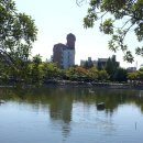 제일.쌍봉시장 이미지