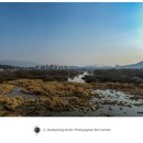 송지호모텔 이미지