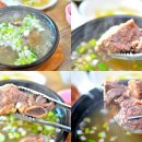 원조안의갈비 삼일식당 | 갈비탕 안의갈비탕 / 경남 함양 안의면 원조할매갈비식당