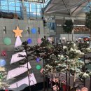 해시 호텔 | 홍콩 4박 5일 여행 후기 1 (이비스홍콩호텔, A11버스...제니쿠키, 해시태그비, 헤리티지, 아주르80 야경...