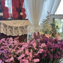 스마일앤조이 | 청주 24시간 꽃집 화분맛집 플라워앤조이 방문 후기🍀