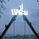 섬진강대숲길 이미지