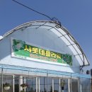 샤롯데플라워
