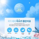 위드베베