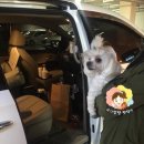 슈가팸팸 이미지