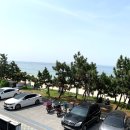 참참조개구이회센타