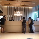 청풍리조트수영장 이미지