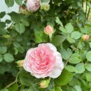 광덕한의원 이미지