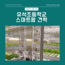 유석초등학교 이미지