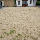 현북초등학교 이미지