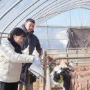 유대목장 이미지