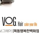 보그헤어 목동점