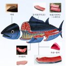 키움참치 이미지