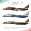 이란-이라크 전쟁에서 F-14 페르시안캣이 격추한 숫자 이미지