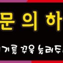 착한애견 이미지