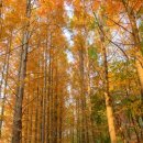 목동동로6길 이미지