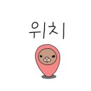 영희와바둑이 애견미용샵 이미지