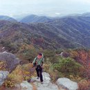 안심역1번 출입구 이미지