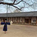 에스앤에스컴퍼니(주) 네이버블로그