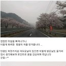 대초천 이미지