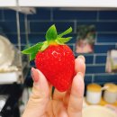 에스케이행복약국 | 평생 도시녀가 1년간 충북에서 살아본 후기 결혼 취업 쿠팡 지방생활