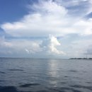 [부산 스킨스쿠버, 스쿠바, 잠수, NAUI] 해외 다이빙 포인트 마푸시섬편 이미지