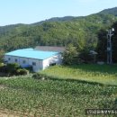 입암보건진료소 이미지