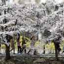 양재천 수변무대1 이미지