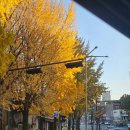 한자속독 80분A | HSK 4급 합격하면 발행될 글