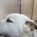 정미농장 이미지