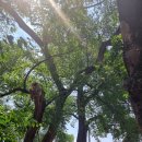 길안다슬기캠프 이미지