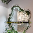 식물 인테리어 이미지