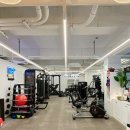 다조아GYM 네이버블로그