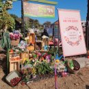 담쟁이농장 이미지