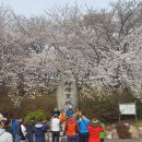 선진공원 Daum카페