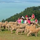 아담 목장 이미지