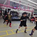 오스타짐 이미지