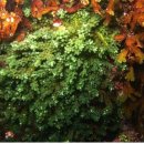 해빛뜰어촌체험휴양마을 이미지