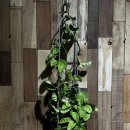 근영농장 이미지