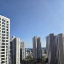 일광우체국 | 5000:1 일광 자이 푸르지오 청약 당첨 후기