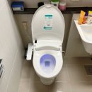 비데파크