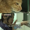 현농장2 이미지