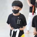 사계절 푸른솔 태권도장 이미지