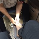 탐라의원 이미지