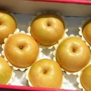 곤이농장 이미지